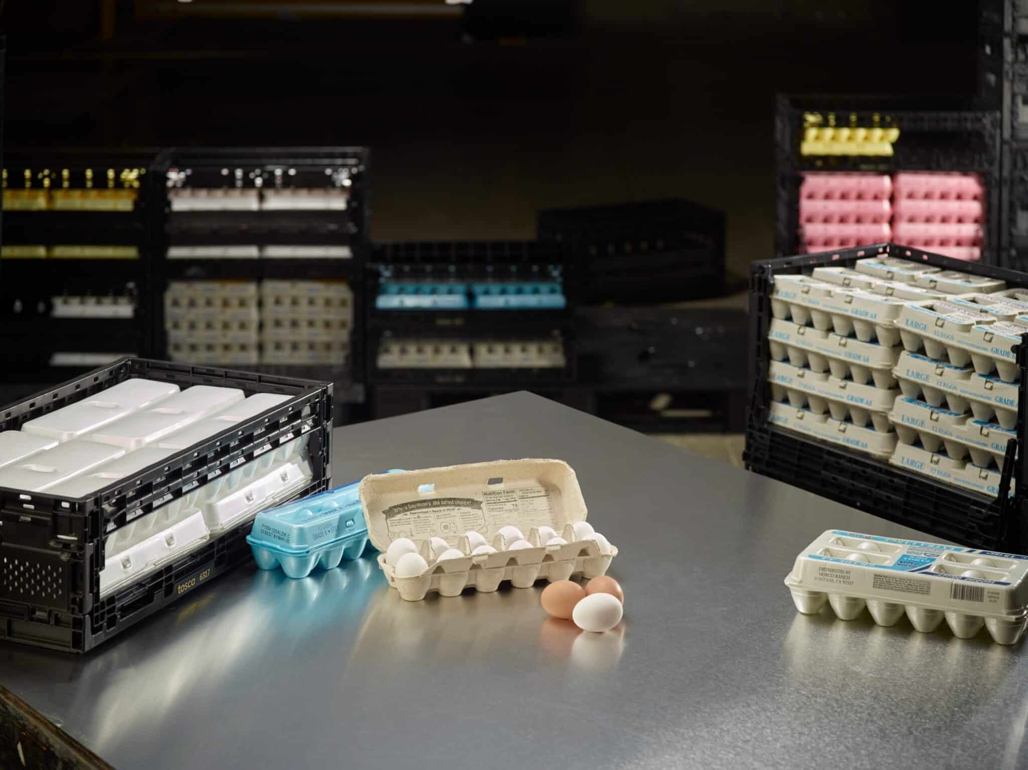 Eggs on Display