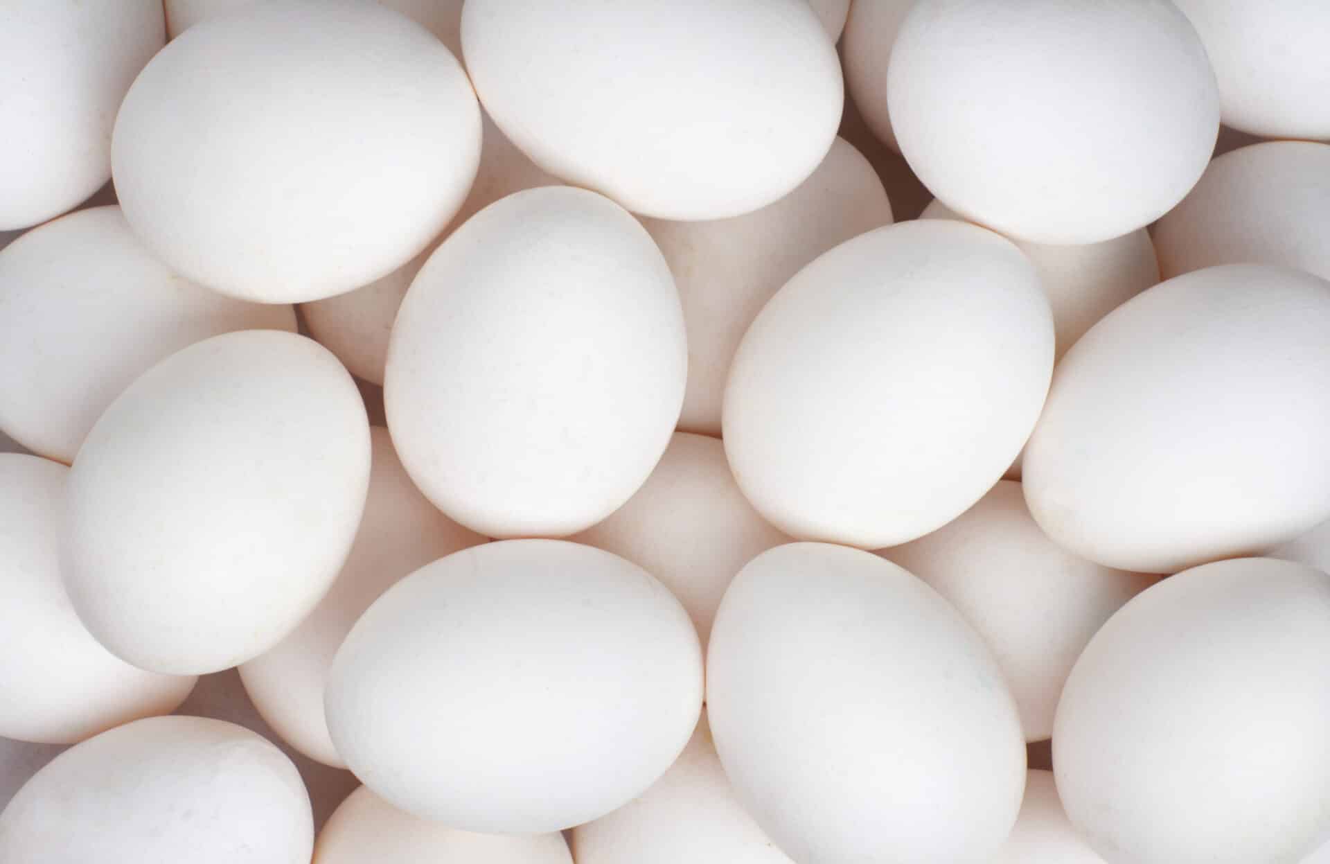 eggs backgroung