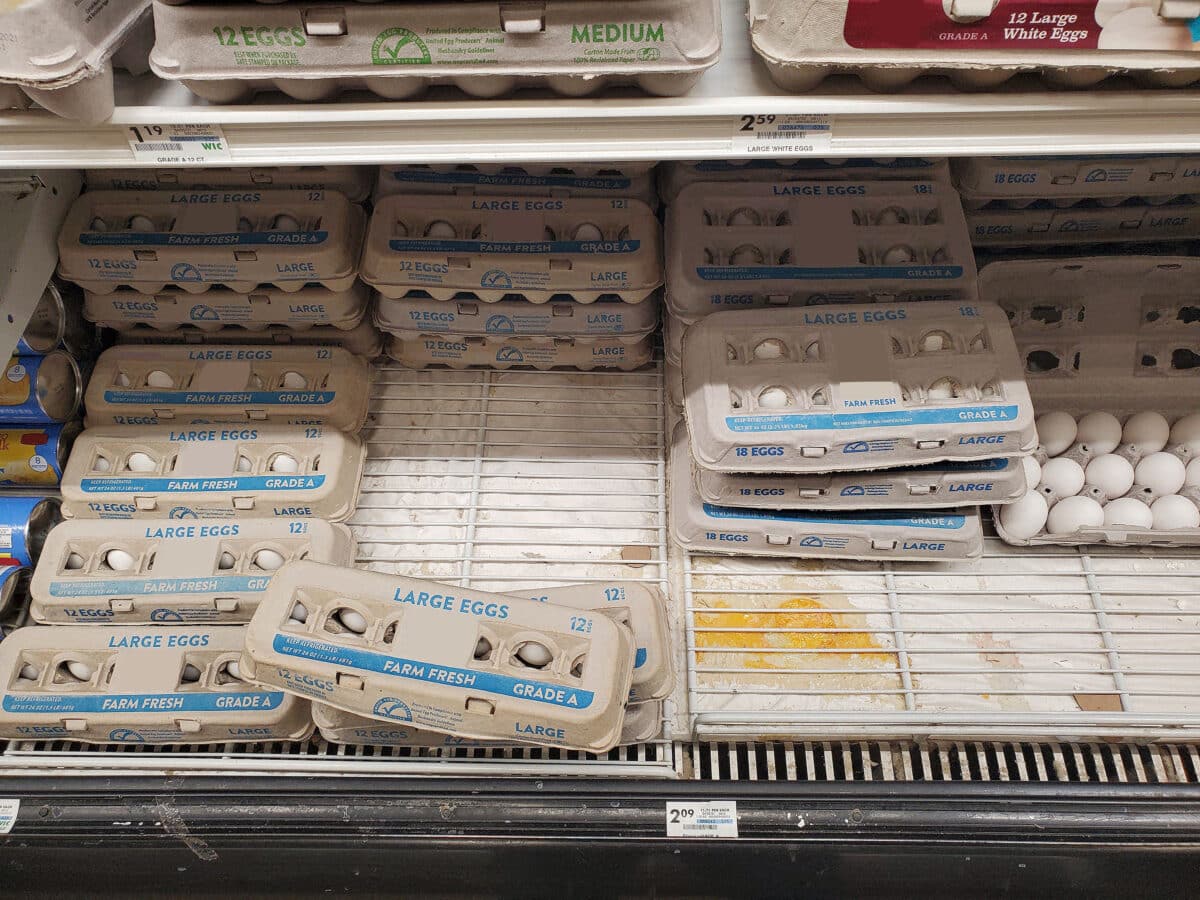 Picked-over and opened egg cartons in a supermarket, with cartons sitting directly on the wire display shelf bottom, expose cracked eggs and yolk spillage staining the area beneath the rack.