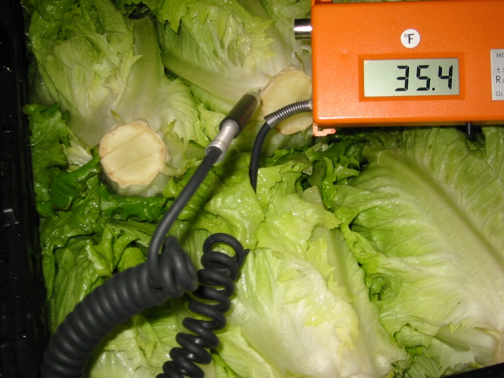 Testing the temperature with a thermometer of leafy green lettuce pulp, which should be kept at 41°F or lower, is a requirement of USDA food storage guidelines for food safety.