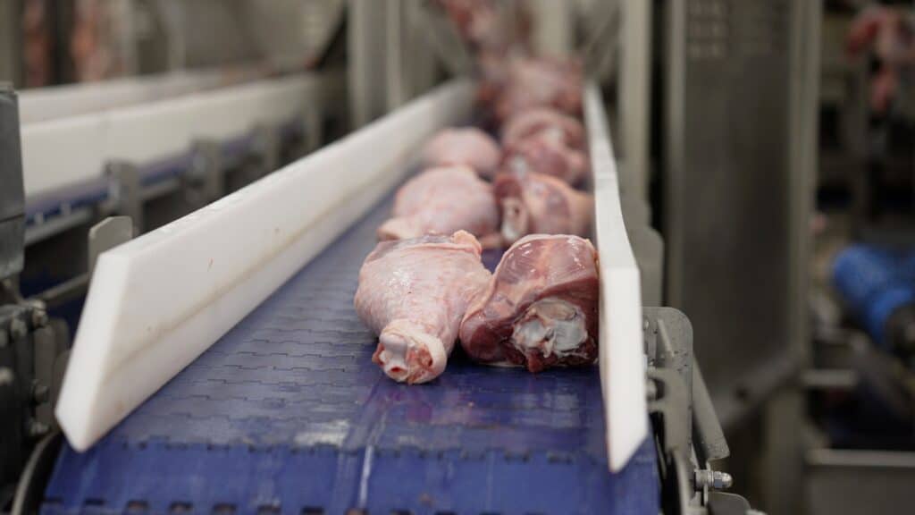 Raw meat, turkey legs on a conveyor belt. Chicken legs move along a conveyor.