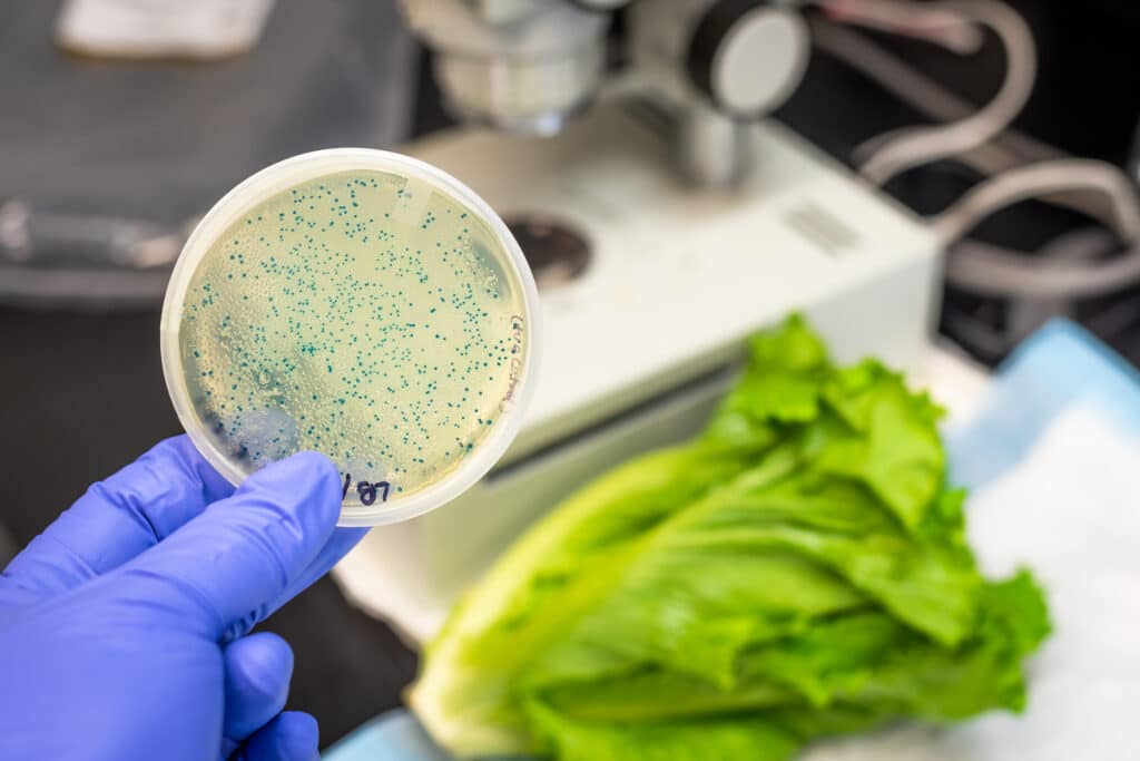 food contamination