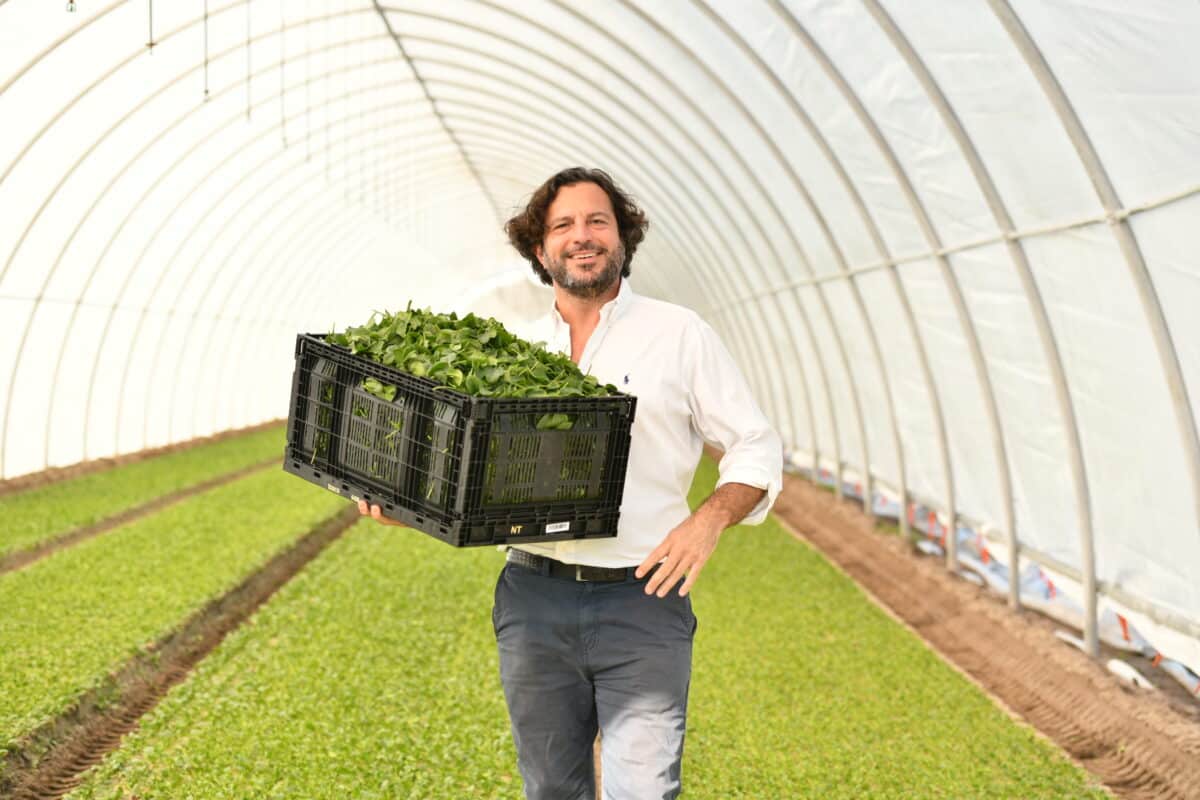Cultiva_Crate_Greens